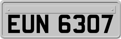 EUN6307