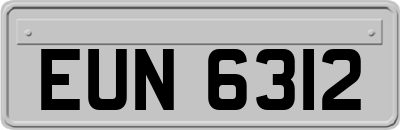 EUN6312