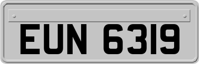 EUN6319