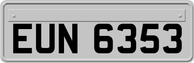 EUN6353