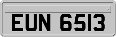 EUN6513