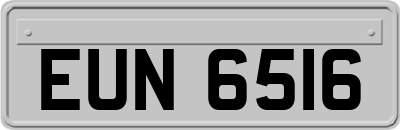 EUN6516