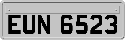 EUN6523