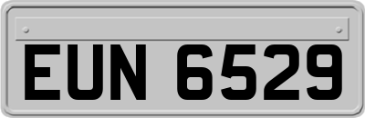 EUN6529