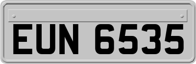 EUN6535