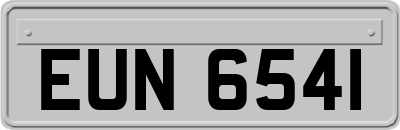 EUN6541