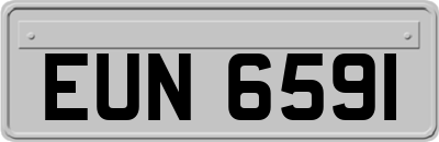 EUN6591