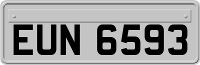 EUN6593