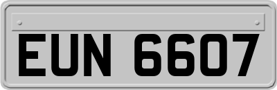EUN6607