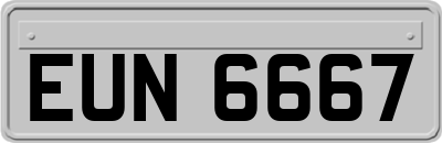 EUN6667