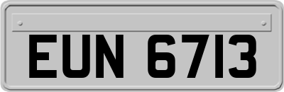EUN6713
