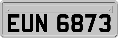 EUN6873