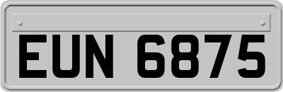 EUN6875