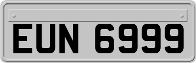 EUN6999