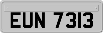 EUN7313