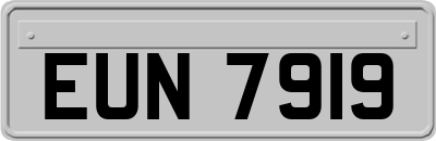 EUN7919
