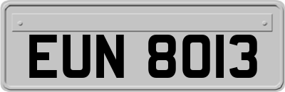 EUN8013