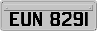 EUN8291