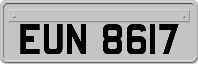 EUN8617