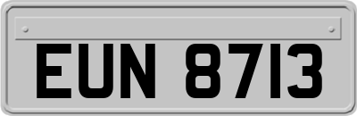 EUN8713