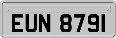 EUN8791