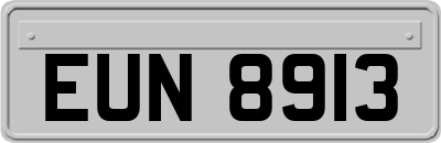EUN8913