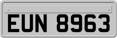 EUN8963