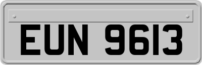 EUN9613