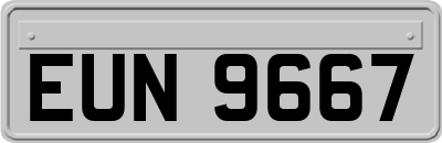 EUN9667