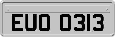 EUO0313