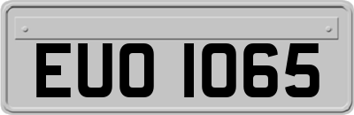 EUO1065