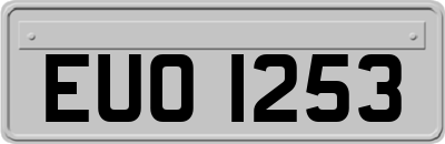 EUO1253