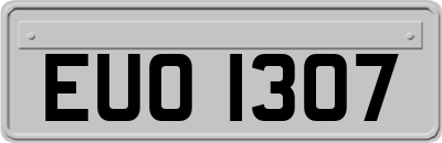 EUO1307