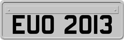 EUO2013