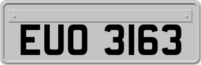 EUO3163
