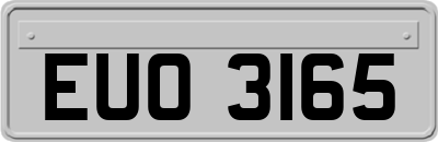 EUO3165