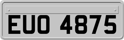 EUO4875