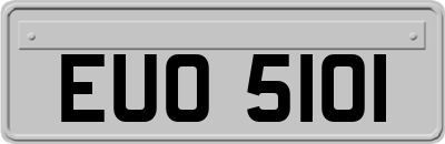 EUO5101