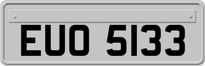 EUO5133