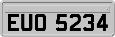 EUO5234