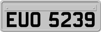 EUO5239