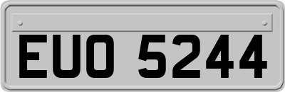 EUO5244