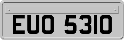 EUO5310