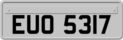 EUO5317