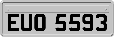 EUO5593