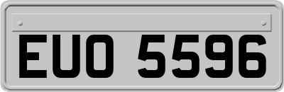 EUO5596
