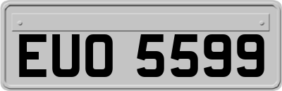 EUO5599