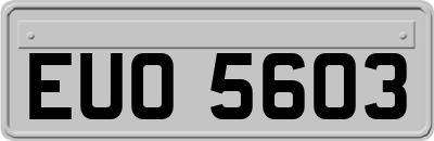 EUO5603