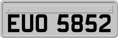 EUO5852