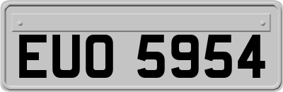 EUO5954